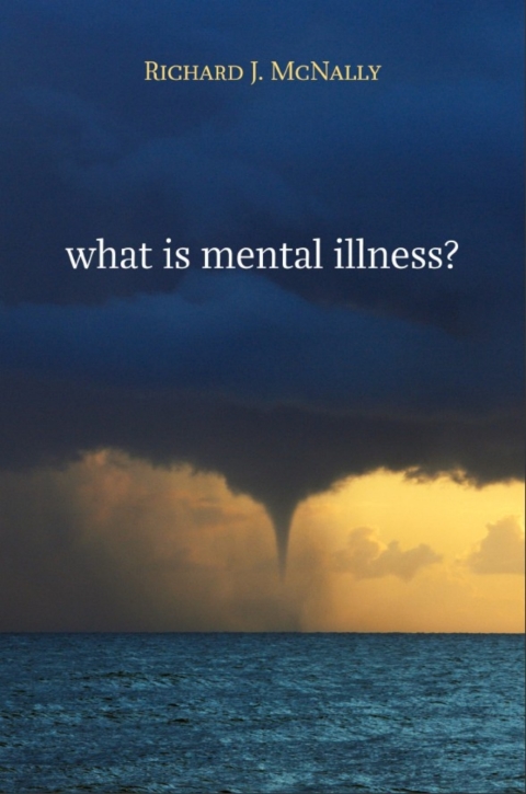 Cover image for book What Is Mental Illness?