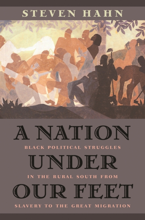 Cover image for book A Nation under Our Feet