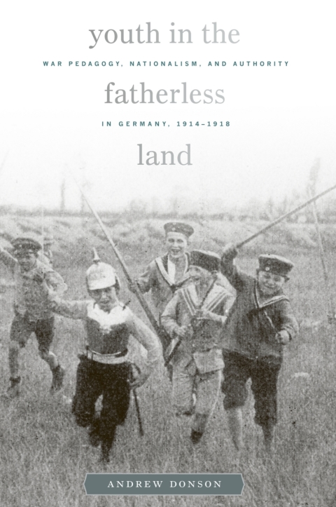 Cover image for book Youth in the Fatherless Land