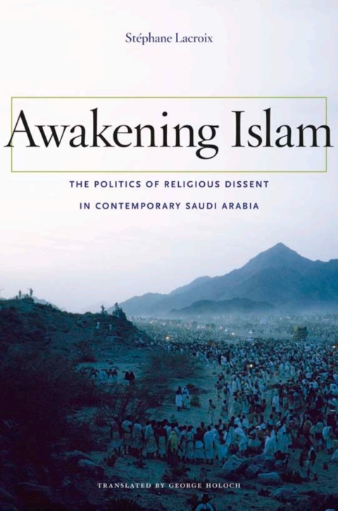 Cover image for book Awakening Islam