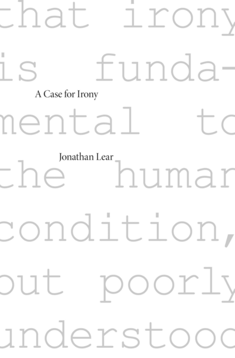 Cover image for book A Case for Irony