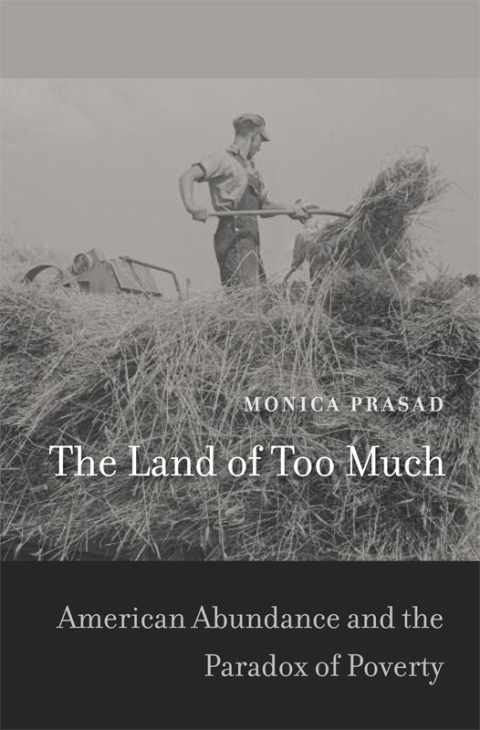 Cover image for book The Land of Too Much