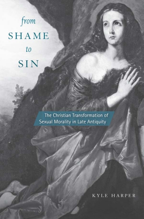 Cover image for book From Shame to Sin