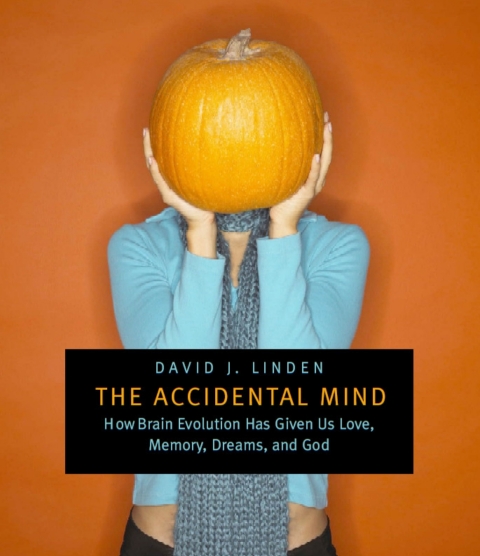 The Accidental Mind 
