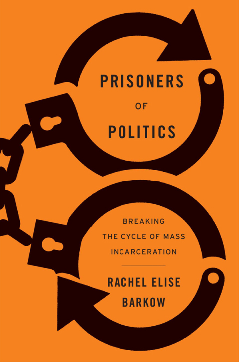 Cover image for book Prisoners of Politics