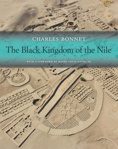 Cover image for book The Black Kingdom of the Nile