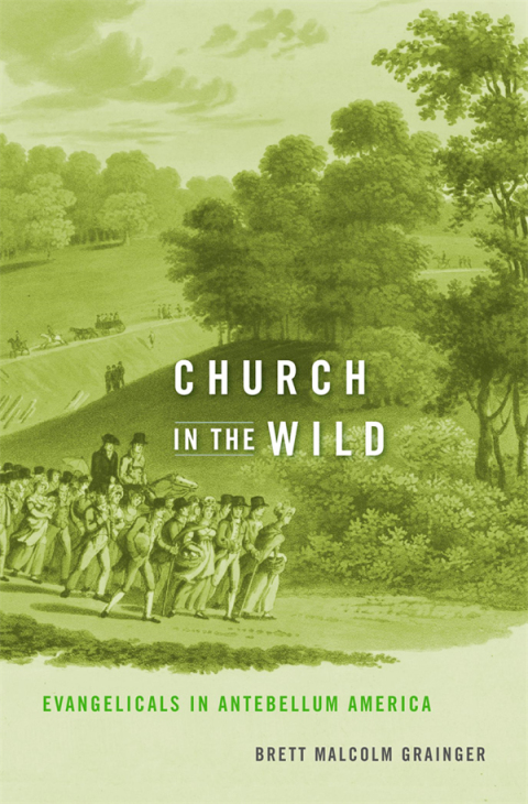Cover image for book Church in the Wild