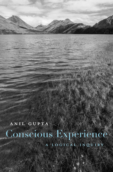 Cover image for book Conscious Experience