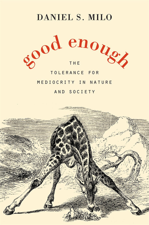Cover image for book Good Enough