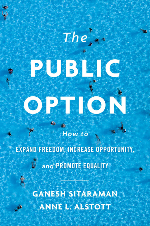 Cover image for book The Public Option