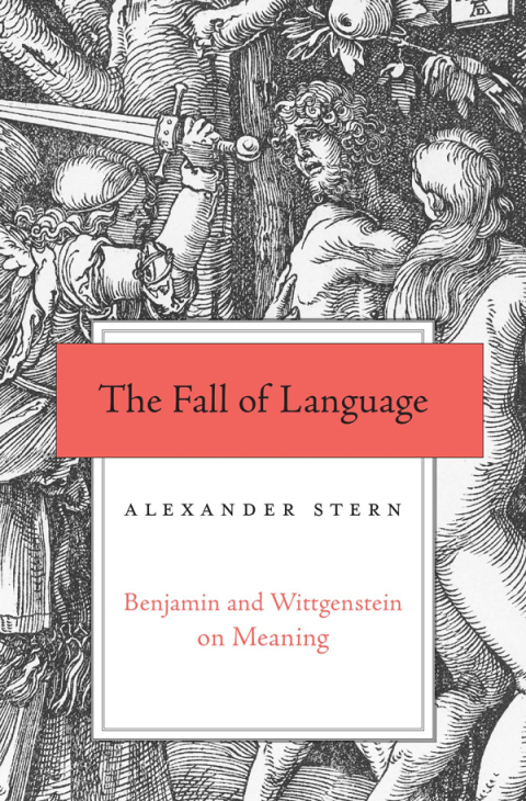 Cover image for book The Fall of Language