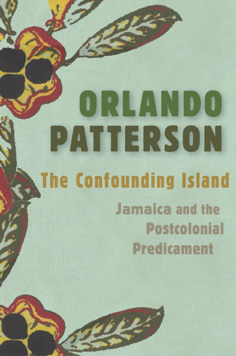 Cover image for book The Confounding Island