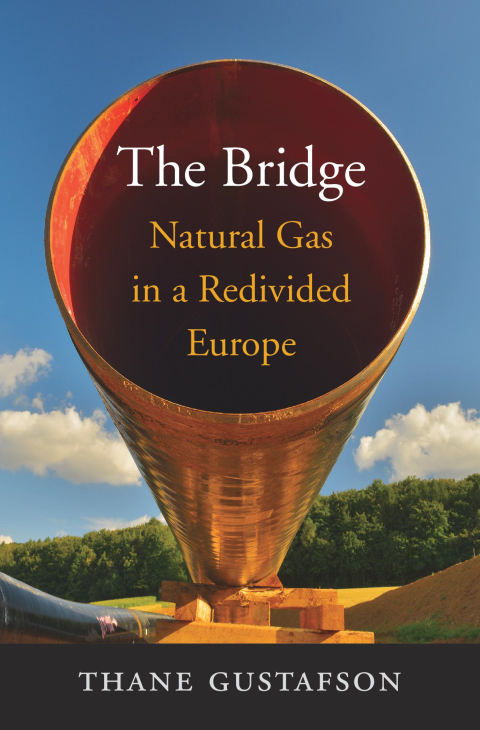 Cover image for book The Bridge