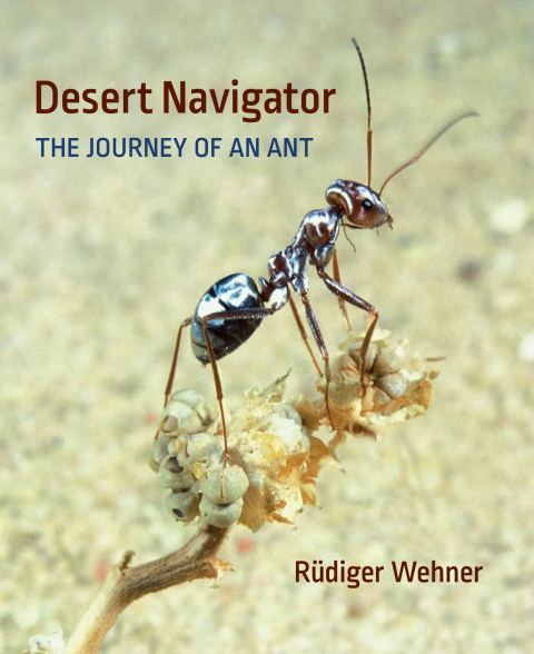 Cover image for book Desert Navigator