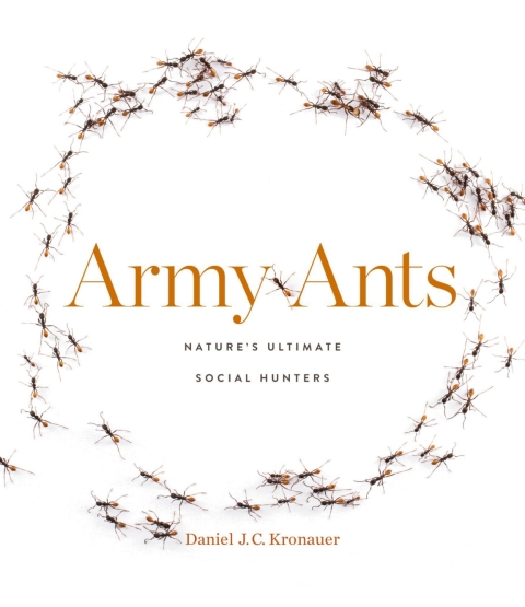 Cover image for book Army Ants