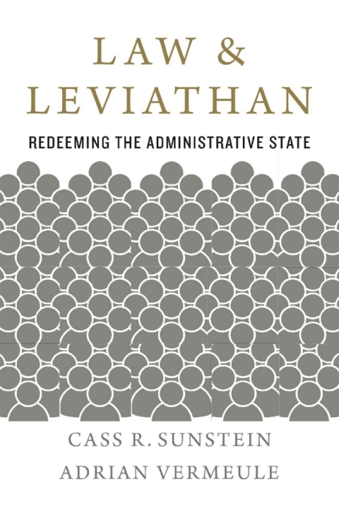 Cover image for book Law and Leviathan