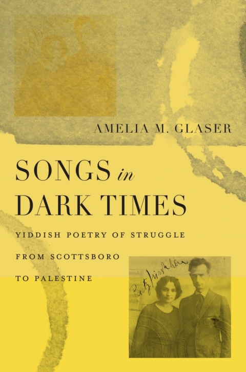 Cover image for book Songs in Dark Times