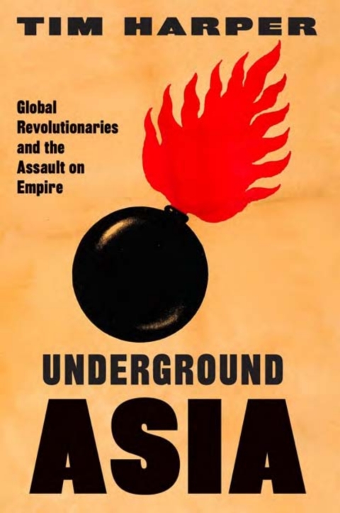 Cover image for book Underground Asia