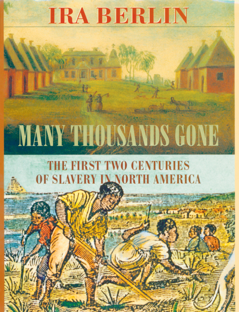 Cover image for book Many Thousands Gone