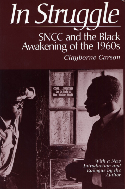 Cover image for book In Struggle
