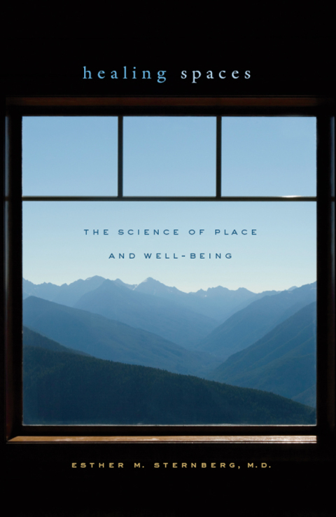 Cover image for book Healing Spaces