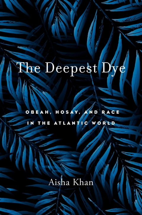 Cover image for book The Deepest Dye