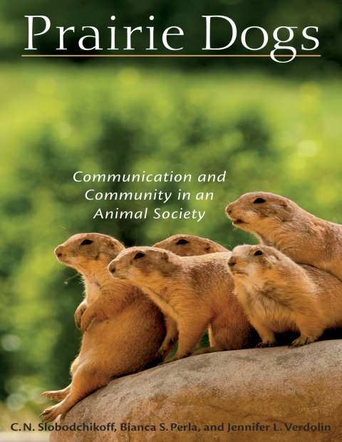 Cover image for book Prairie Dogs