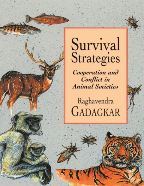 Cover image for book Survival Strategies