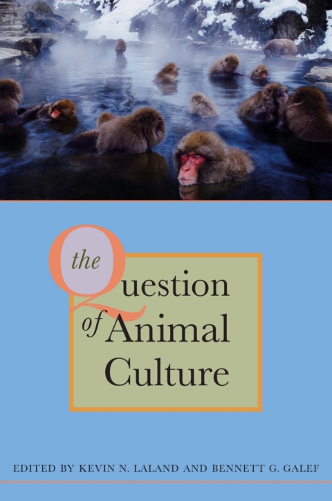 Cover image for book The Question of Animal Culture