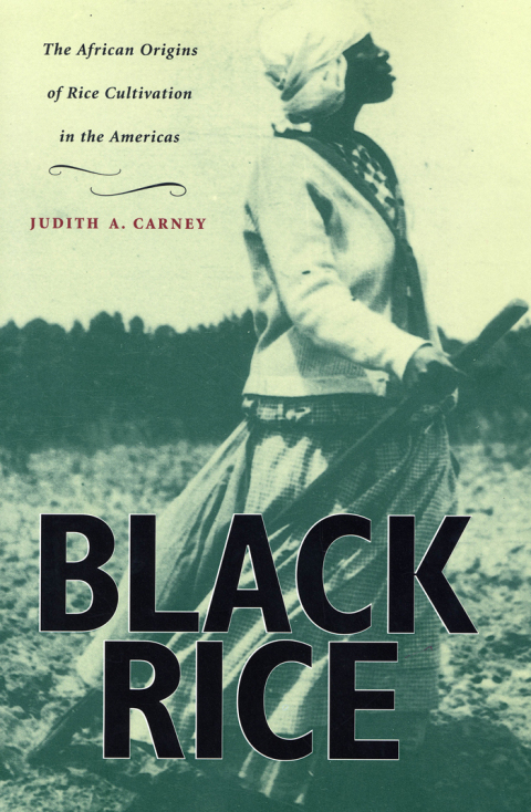 Reflowable Black Rice; $32.00