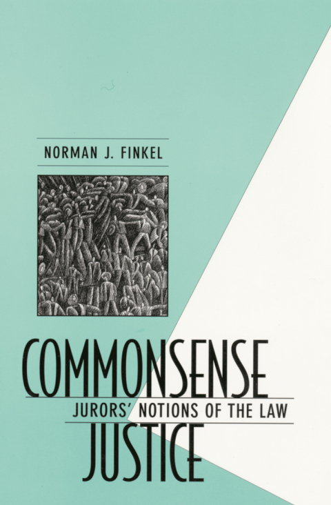 Cover image for book Commonsense Justice