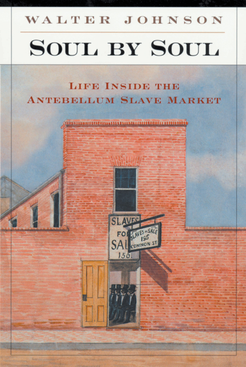 Cover image for book Soul by Soul