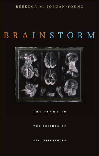 Brain Storm