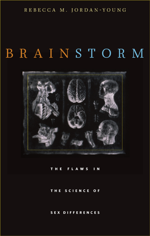 Cover image for book Brain Storm