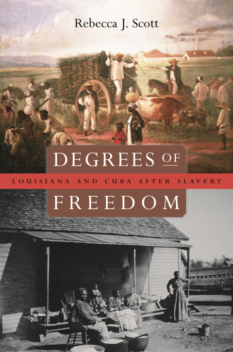 Degrees of Freedom 