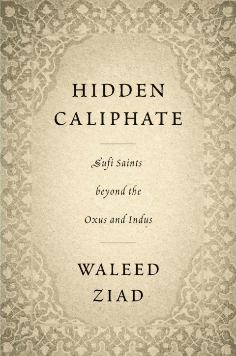 Cover image for book Hidden Caliphate