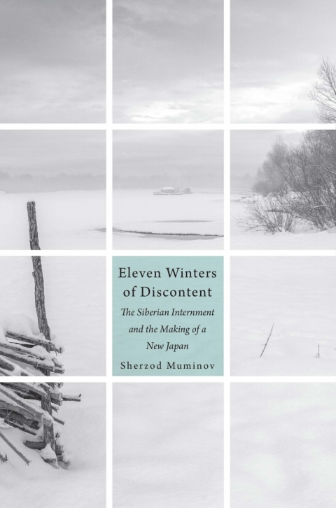 Cover image for book Eleven Winters of Discontent
