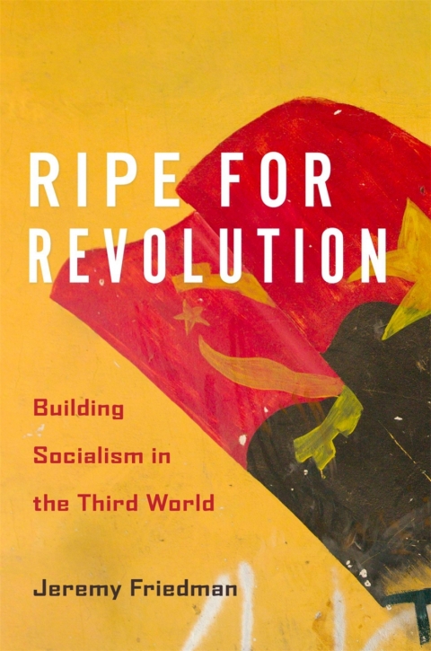 Cover image for book Ripe for Revolution