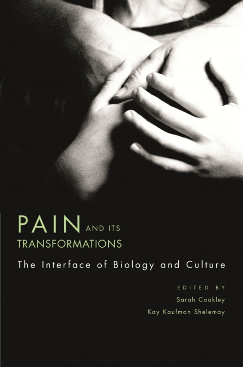 Cover image for book Pain and Its Transformations