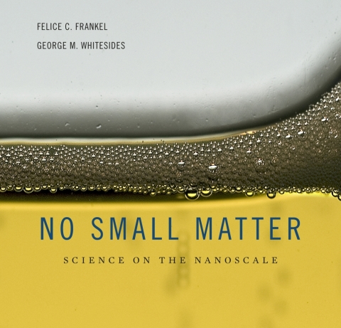 Cover image for book No Small Matter