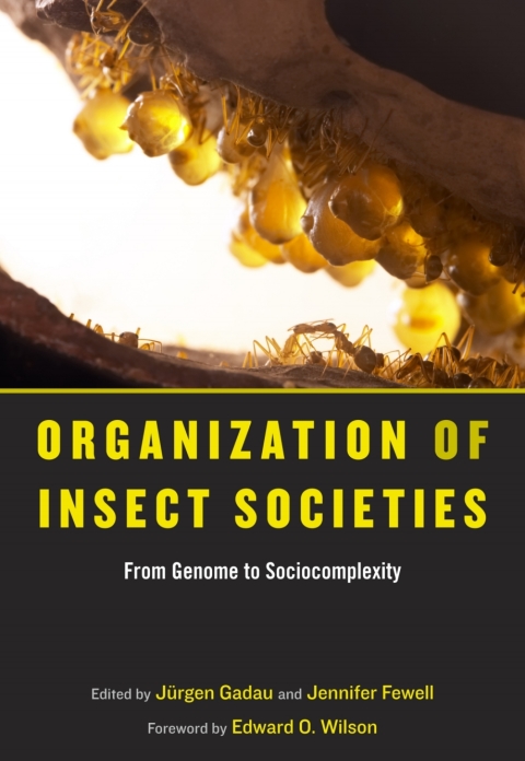 Cover image for book Organization of Insect Societies