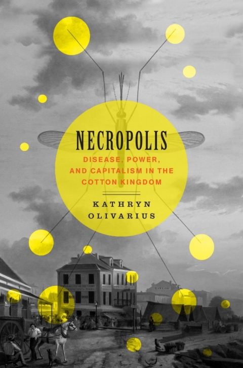 Cover image for book Necropolis