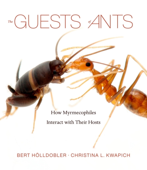 Cover image for book The Guests of Ants