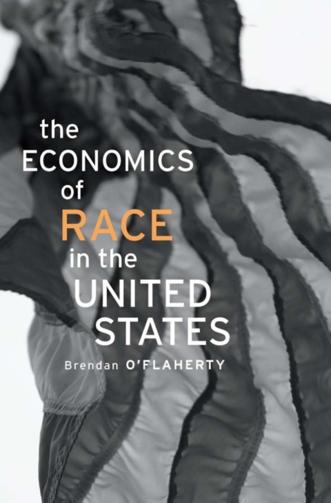 Cover image for book The Economics of Race in the United States
