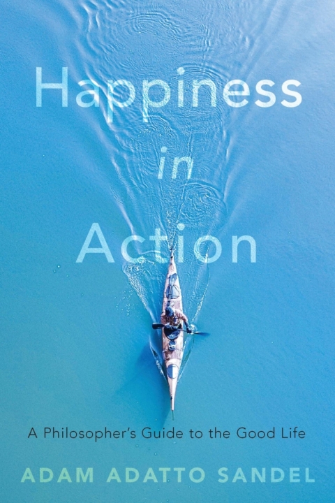 Cover image for book Happiness in Action