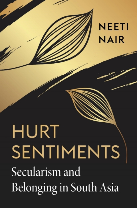 Cover image for book Hurt Sentiments