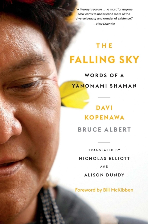 Cover image for book The Falling Sky