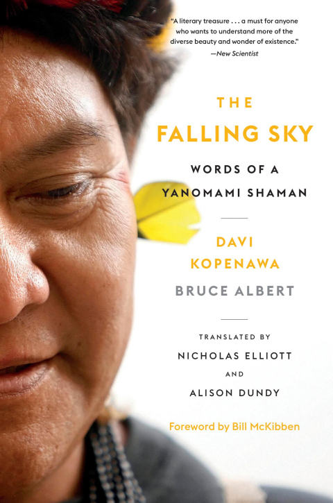 Cover image for book The Falling Sky