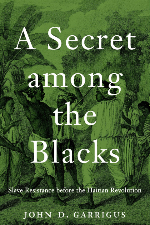 Cover image for book A Secret among the Blacks