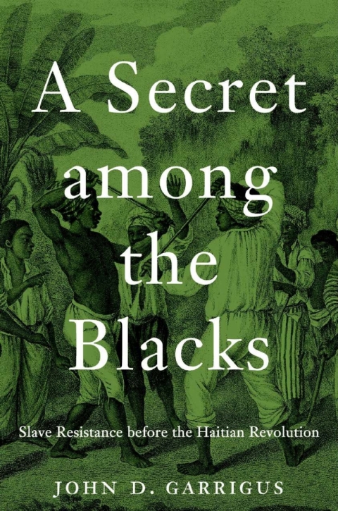 Cover image for book A Secret among the Blacks